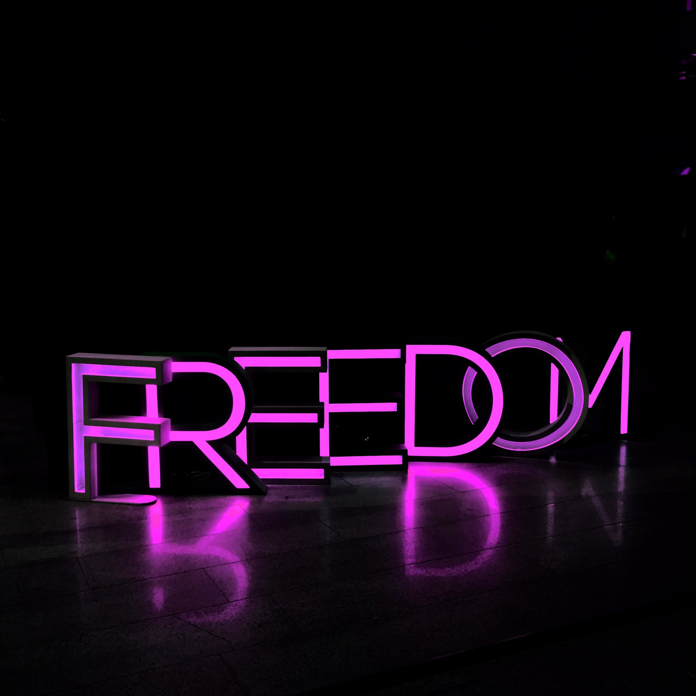 Neon purple light text spelling out FREEDOM.